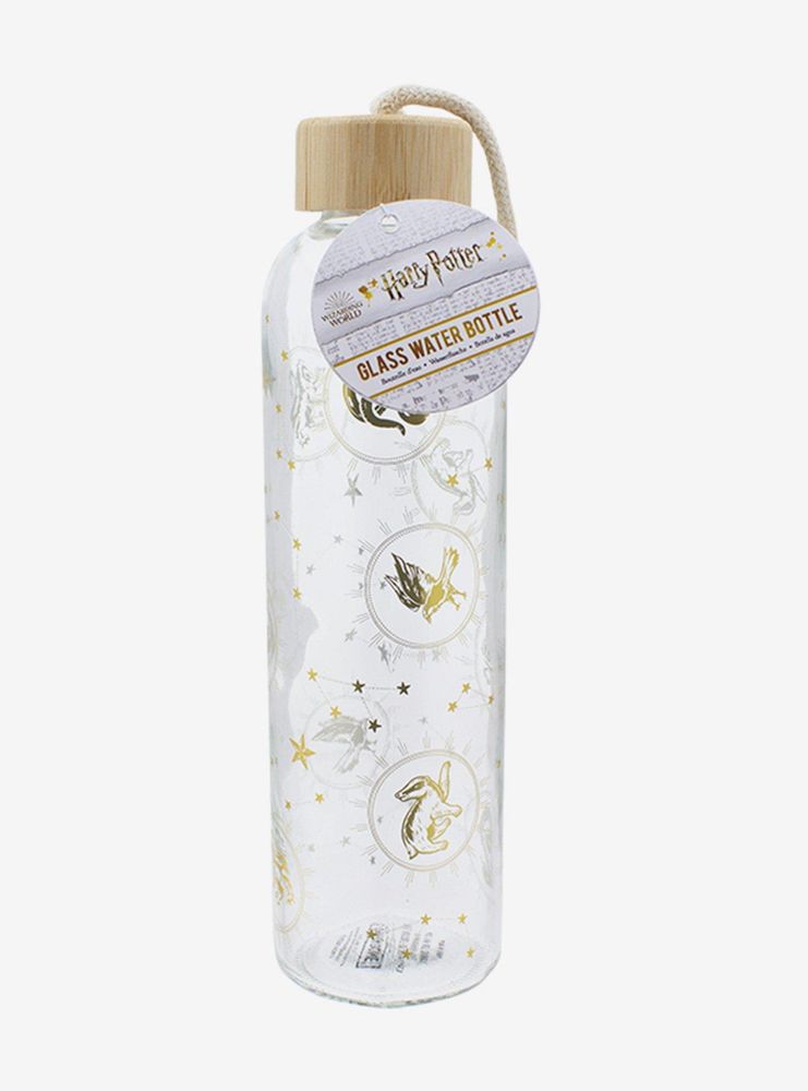 Harry Potter Constellations Glass Water Bottle