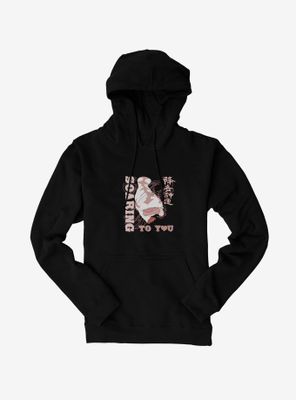 Avatar: The Last Airbender Soaring To You Hoodie