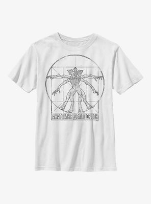 Stranger Things Vitruvian Demogorgon Youth T-Shirt