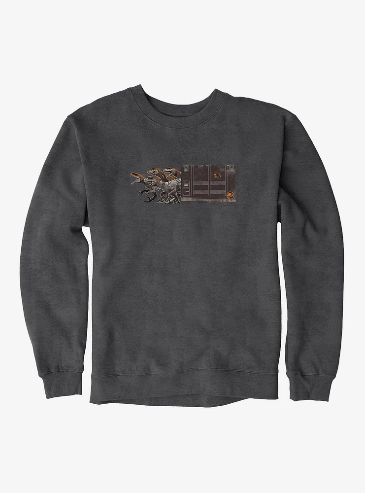 Jurassic World Dominion Raptor Escape Sweatshirt