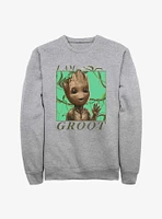 Marvel Guardians of the Galaxy Jungle Vibes Sweatshirt