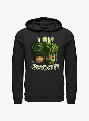 Marvel Guardians of the Galaxy Bath Hairdo Hoodie