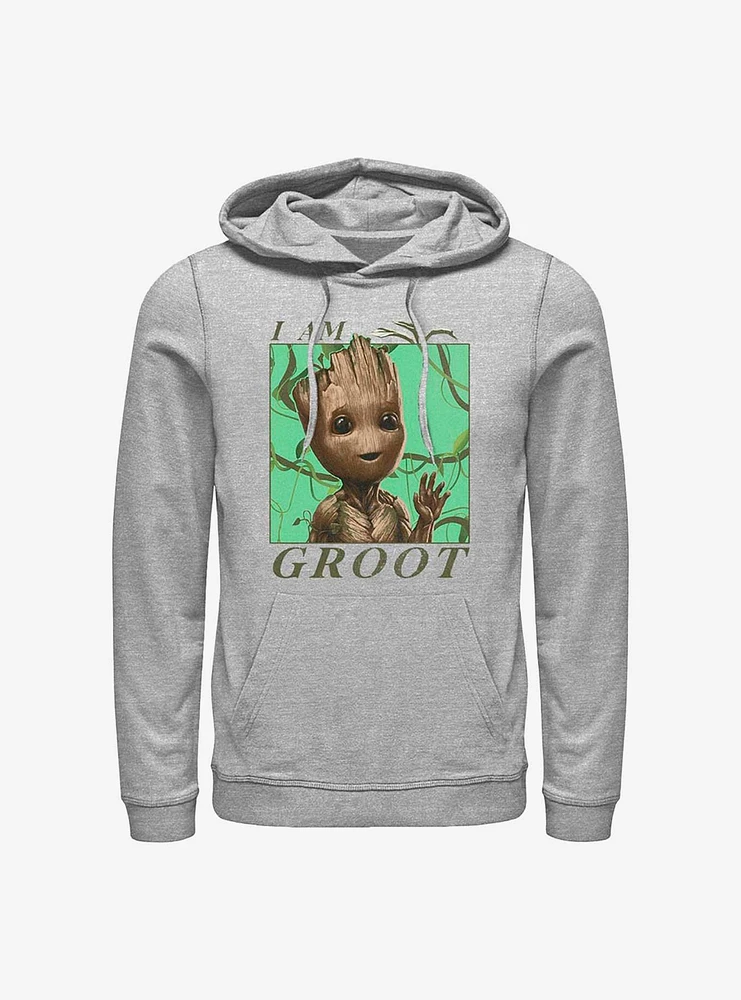 Marvel Guardians of the Galaxy Jungle Vibes Hoodie