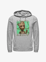 Marvel Guardians of the Galaxy Jungle Vibes Hoodie