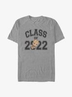 Marvel Guardians Of The Galaxy Groot Grad T-Shirt