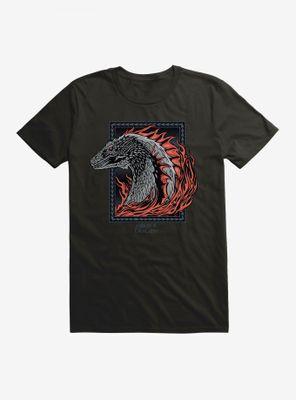 House of the Dragon Burning T-Shirt