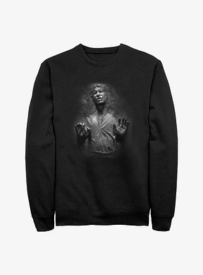 Star Wars Han Solo Carbonite Sweatshirt