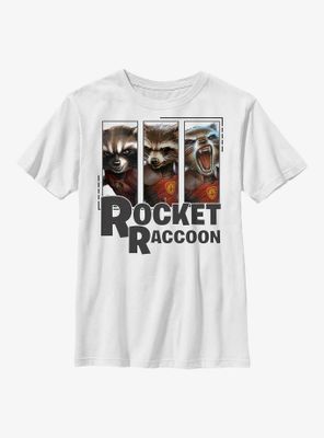 Marvel Guardians Of The Galaxy Rocket Raccoon Panels Youth T-Shirt