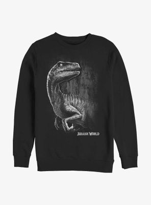 Jurassic World Raptor Smile Sweatshirt