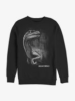 Jurassic World Raptor Smile Sweatshirt