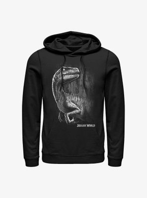 Jurassic World Raptor Smile Hoodie