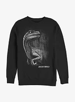 Jurassic World Raptor Smile Sweatshirt