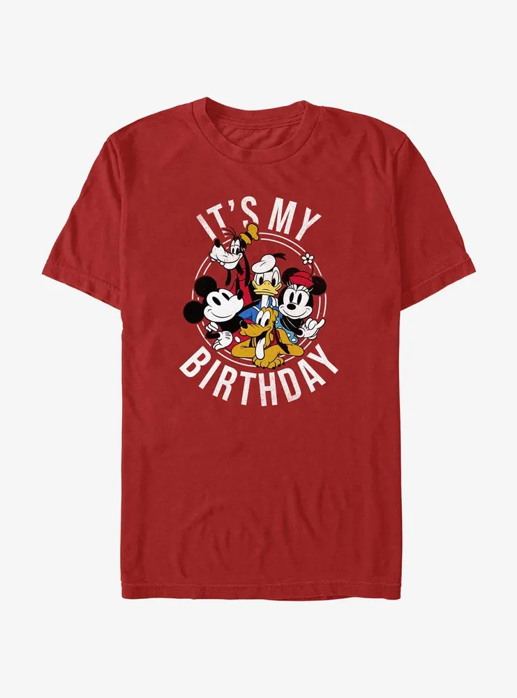 Disney Mickey Mouse And Friends Birthday T-Shirt
