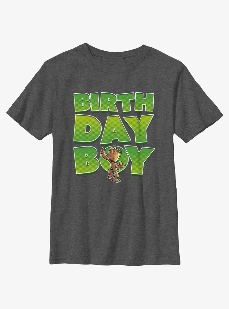 Marvel Guardians Of The Galaxy Groot Bday Boy T-Shirt