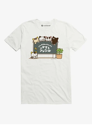 Tama And Friends Chalkboard Cats T-Shirt