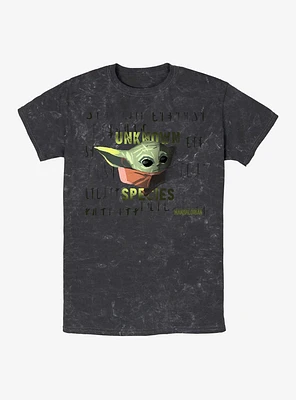 Star Wars The Mandalorian Unknown Species Child Mineral Wash T-Shirt