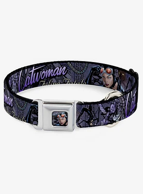 DC Comics Catwoman Nine Lives of A Feline Fatale Pose Purple Seatbelt Buckle Dog Collar