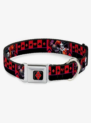 DC Comics Harley Quinn Black Purple Red Seatbelt Buckle Dog Collar