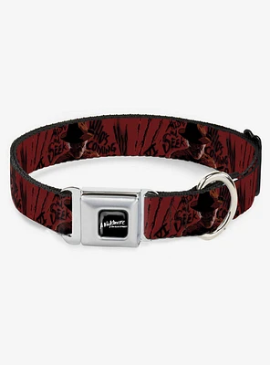 A Nightmare on Elm Street Freddy Poses Quote Hand Scratching Seatbelt Buckle Dog Collar
