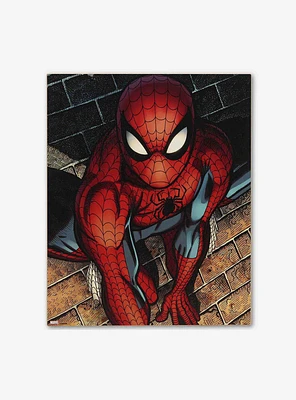 Marvel Spider-Man Brick Wall Close-Up Wood Wall Decor