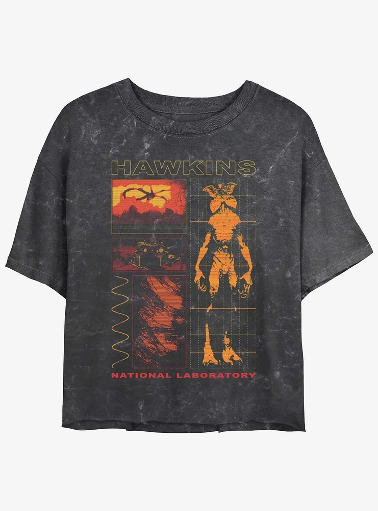 Stranger Things Hawkins Lab Mineral Wash Crop Girls T-Shirt