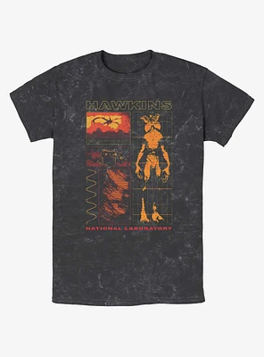 Stranger Things Hawkins Lab Mineral Wash T-Shirt