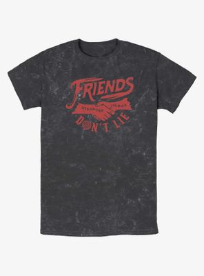 Stranger Things Friends Don't Lie Mineral Wash T-Shirt