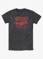 Stranger Things Friends Don't Lie Mineral Wash T-Shirt