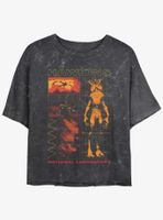 Stranger Things Hawkins Lab Mineral Wash Womens Crop T-Shirt