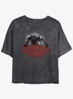 Stranger Things Logo Demogorgon Mineral Wash Womens Crop T-Shirt