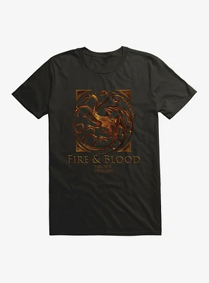 House Of The Dragon Fire And Blood Targaryen T-Shirt