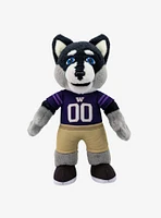 Ncaa Washington Huskies Harry The Husky Plush