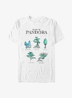 Avatar Pandora Flora Sketches T-Shirt