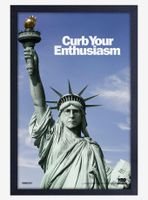Curb Your Enthusiasm Liberty Framed Wood Poster
