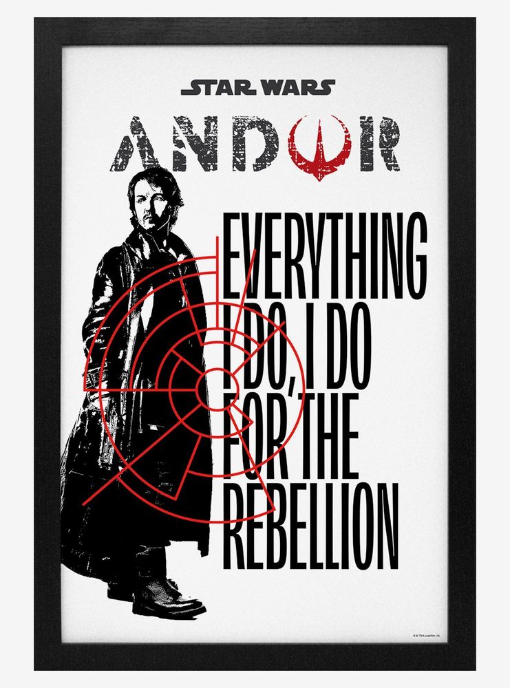 Star Wars Andor I Do Framed Wood Poster