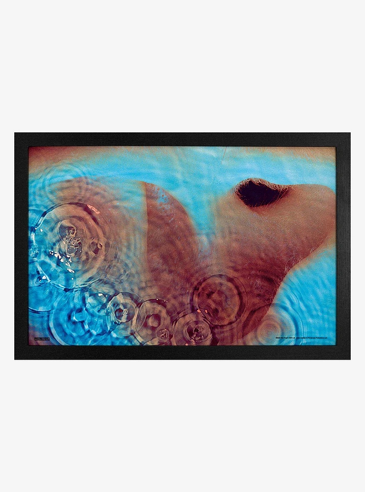 Pink Floyd Meddle Framed Wood Wall Art