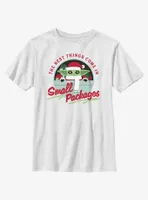 Star Wars The Mandalorian Santa Grogu Small Packages Youth T-Shirt