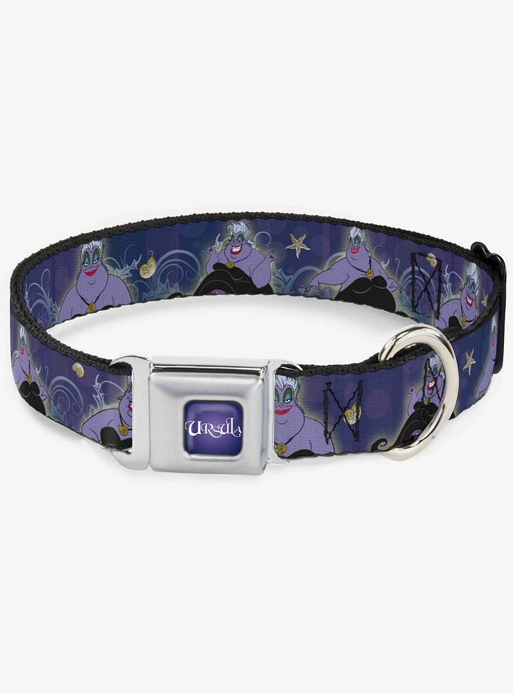 Disney The Little Mermaid Ursula Shells Ivy Bubbles Seatbelt Buckle Dog Collar