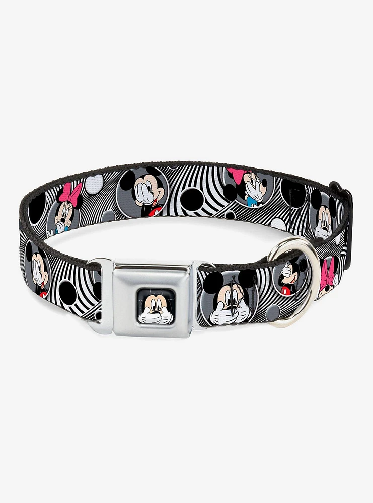 Disney Mickey Mouse Minnie Peek A Boo Seatbelt Buckle Dog Collar