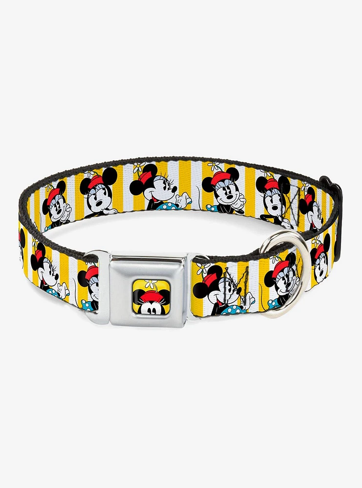 Disney Minnie Mouse Hat Poses Seatbelt Buckle Dog Collar