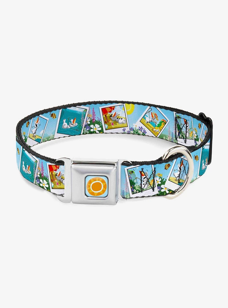 Disney Frozen Olaf Summertime Snapshots Buckle Pet Collar