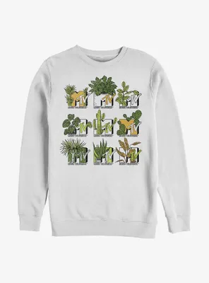 MTV Succulent Logo Sweatshirt