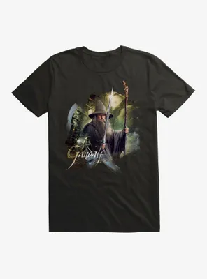 The Hobbit: Desolation Of Smaug Gandalf T-Shirt