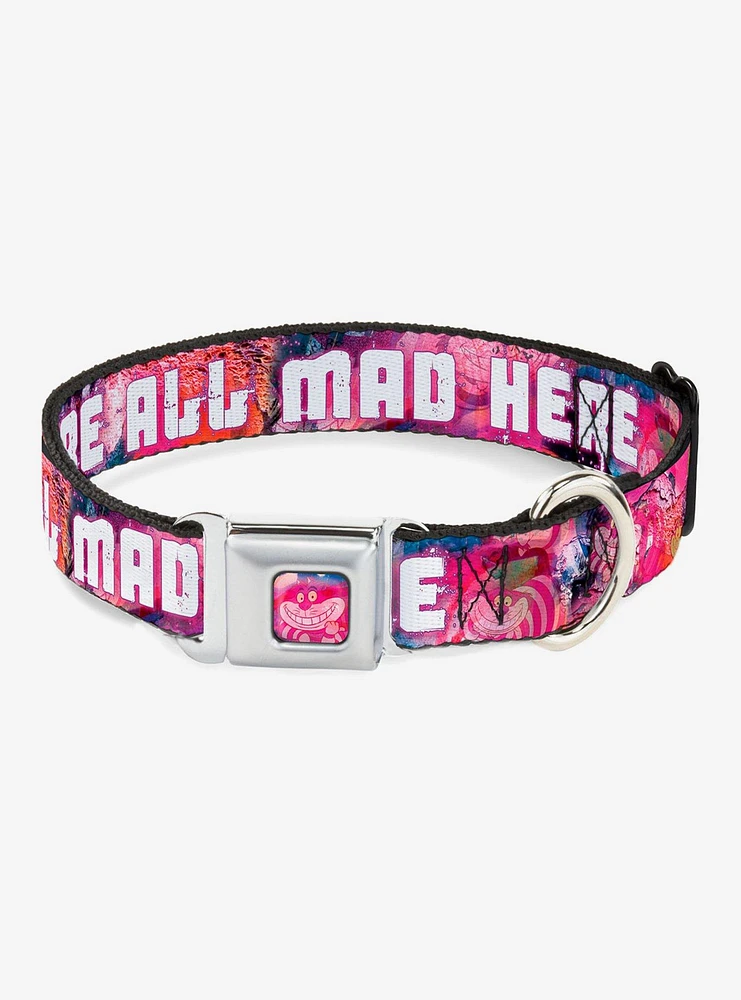 Disney Alice Wonderland Were All Mad Here Seatbelt Buckle Dog Collar