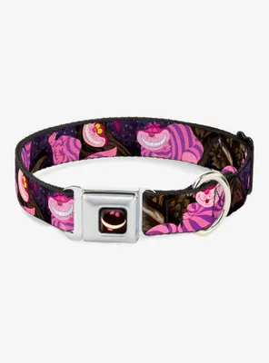 Disney Alice Wonderland Cheshire Cat Tree Poses Seatbelt Buckle Dog Collar