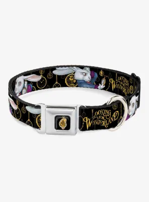 Disney Alice Wonderland Looking For Clocks Seatbelt Buckle Dog Collar