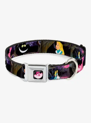 Disney Alice Wonderland The Cheshire Cat Scenes Seatbelt Buckle Dog Collar
