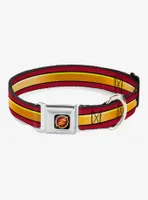 DC Comics The Flash Stripe Seatbelt Buckle Dog Collar