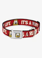 Disney Pluto Its A Ruff Life Seatbelt Buckle Dog Collar