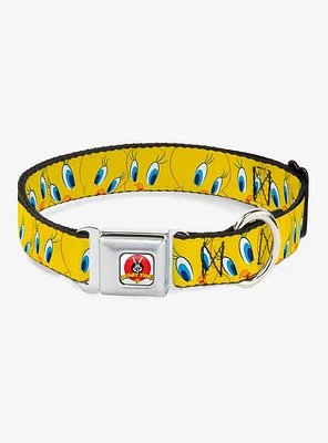 Looney Tunes Tweety Bird Yellow Seatbelt Buckle Dog Collar